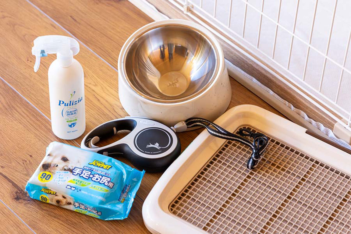 Amenities for dogs