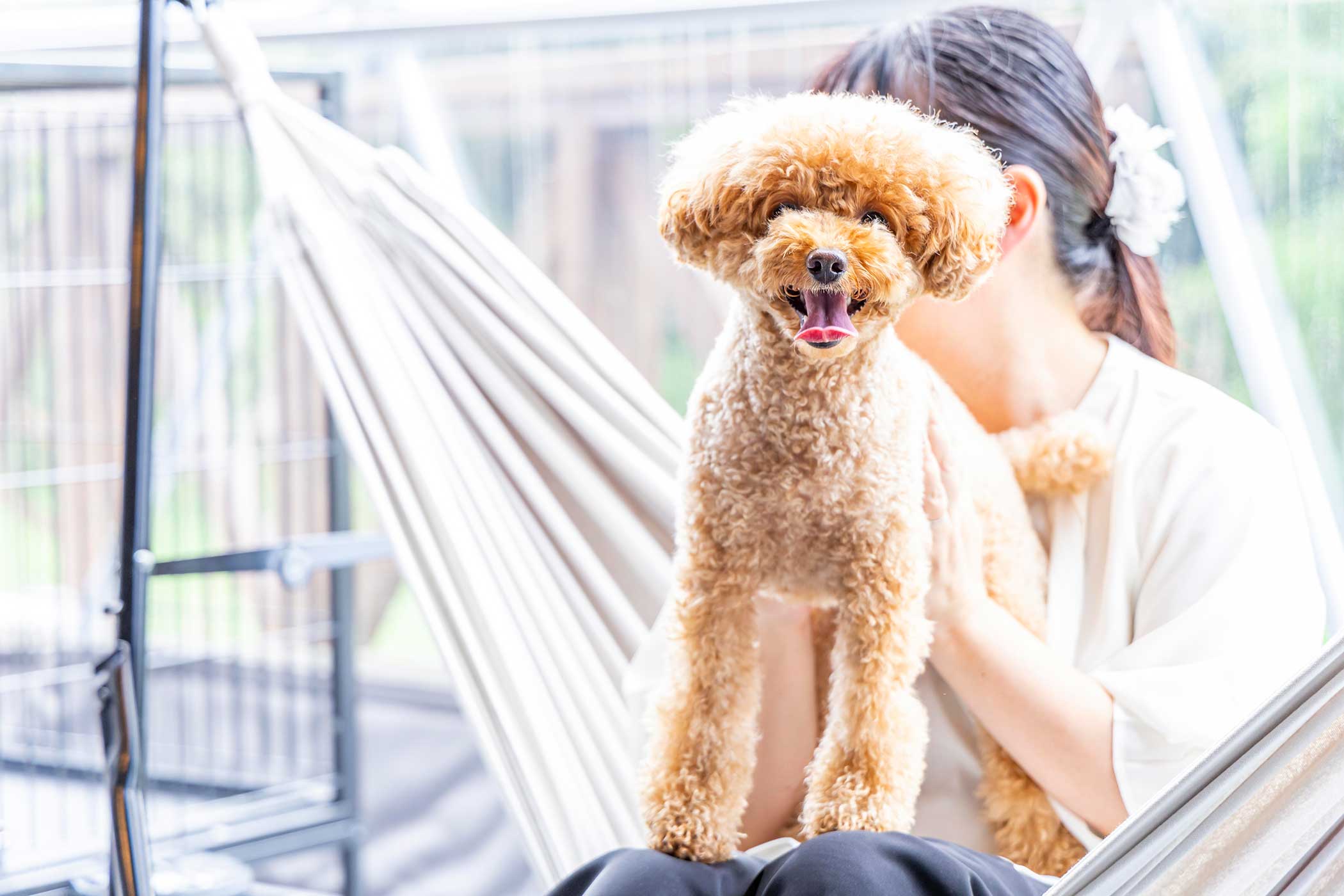 There is a room with a dog run where you can stay with your dogs